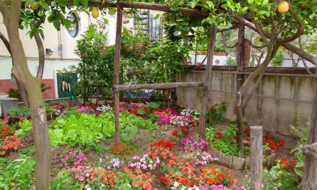 הוילה Vietri Casa La Terrazza מראה חיצוני תמונה